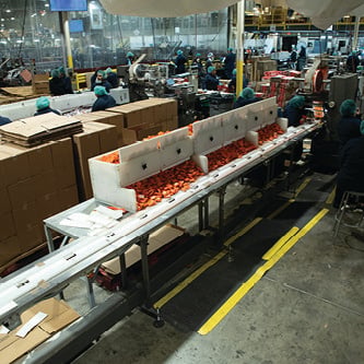 SupplySide_Advertorial_Aug_20263_(1)